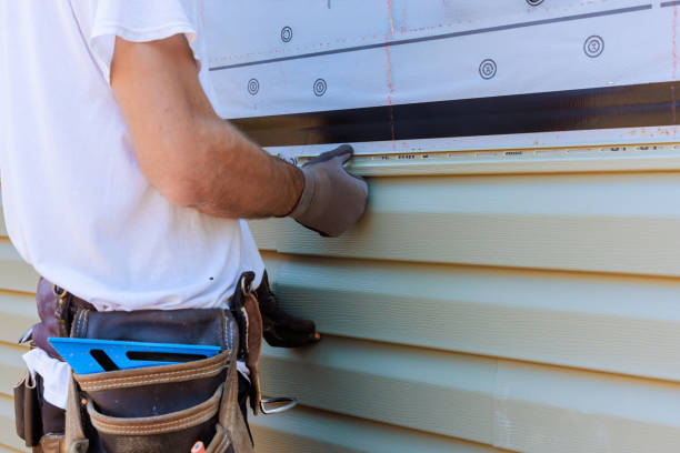 Affordable Vinyl Siding solutions in Larkspur, CO